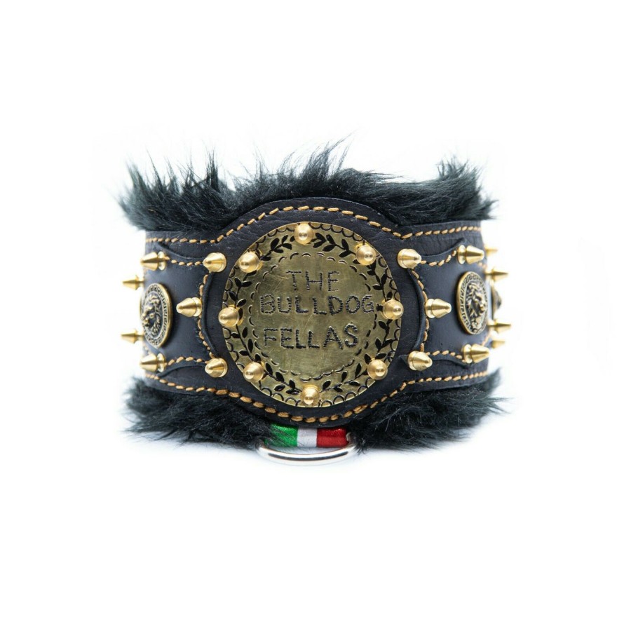 Padded Personalized Dog Collar - Adjustable